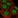 Anti-RBBP8 Antibody
