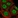 Anti-RBBP8 Antibody