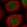 Anti-EXO1 Antibody
