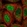Anti-PER2 Antibody