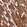 Anti-HBEGF Antibody