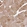 Anti-HBEGF Antibody