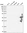Anti-GIMAP1 Antibody