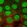 Anti-NUB1 Antibody