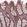 Anti-PLCD3 Antibody