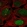 Anti-ESCO2 Antibody
