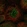 Anti-NOCT Antibody