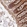 Anti-ATP6AP1L Antibody