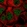 Anti-TGIF2 Antibody