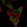 Anti-PHOX2A Antibody