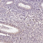 Immunohistochemical staining of human endometrium shows low expression as expected.