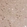 Anti-CAMK2A Antibody