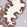Anti-SLC39A7 Antibody