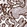Anti-SLC39A7 Antibody