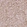 Anti-TRA2A Antibody
