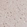 Anti-NEIL1 Antibody