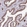 Anti-NEIL1 Antibody