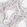 Anti-RCOR1 Antibody