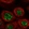 Anti-GPATCH4 Antibody