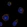 Anti-MPIG6B Antibody