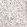 Anti-TFE3 Antibody