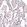 Anti-TFE3 Antibody