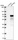 Anti-ZNF394 Antibody