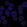 Anti-ERMAP Antibody