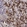 Anti-GPR50 Antibody