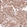 Anti-TNFRSF8 Antibody