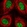 Anti-ZFP69 Antibody