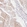 Anti-DENND2C Antibody
