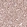 Anti-FOXL2 Antibody