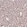 Anti-FOXL2 Antibody