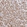 Anti-TTC9C Antibody