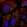Anti-PNPLA2 Antibody