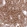 Anti-CALB2 Antibody
