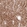 Anti-CALB2 Antibody