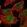 Anti-MAFF Antibody