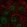 Anti-IER2 Antibody