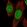 Anti-TRIB3 Antibody
