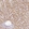Anti-MIA2 Antibody