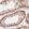 Anti-MBOAT7 Antibody