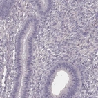 Immunohistochemical staining of human endometrium shows low expression as expected.