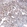 Anti-CD99 Antibody