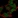 Anti-POU3F2 Antibody