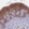 Anti-GLTP Antibody
