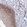 Anti-KLC3 Antibody
