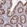 Anti-MRPL19 Antibody