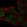 Anti-RCBTB1 Antibody